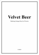 Velvet Beer Marketing Strategy Based on Theories